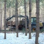 The forwarder completes the process by moving the pieces to the roadside for transportation.
