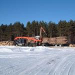 With the logs cut to length and stacked in the open, the long-haul road transport truck is loaded.